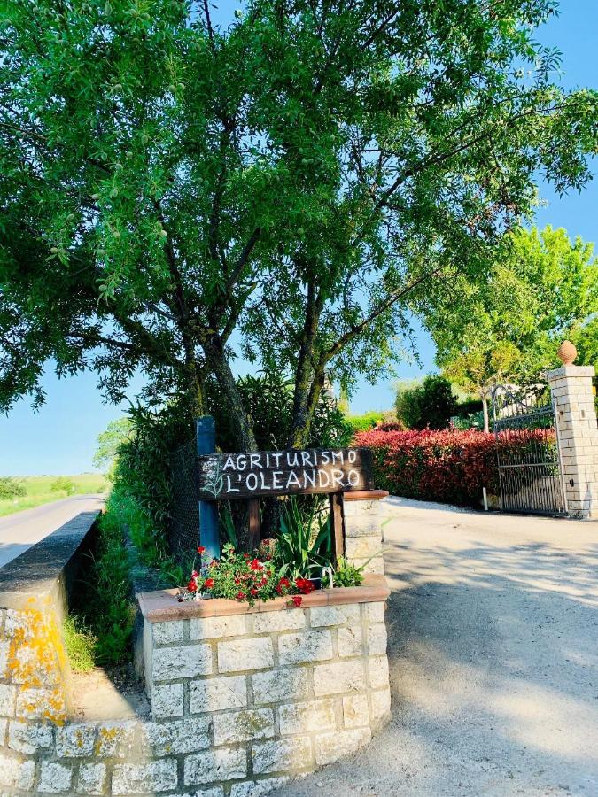 מונטמראנו 8380 Agriturismo L'Oleandro מראה חיצוני תמונה